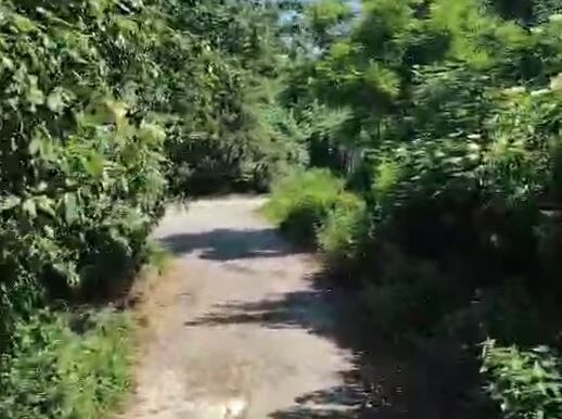 Upozornenie na opílenie a udržiavanie porastov pred rodinnými domami Upozornenie na opílenie a udržiavanie porastov pred rodinnými domami